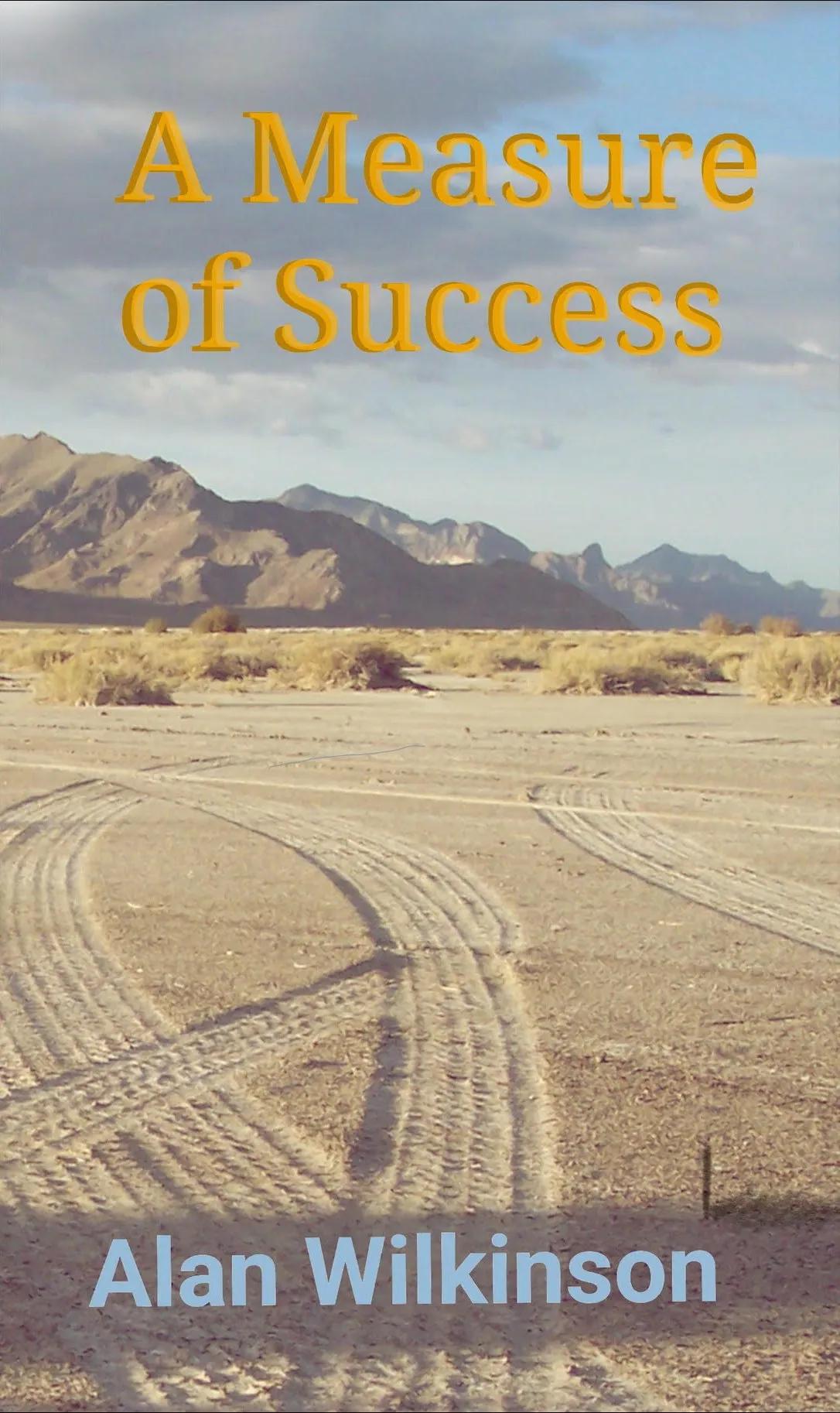 Cover of A Measure of Success