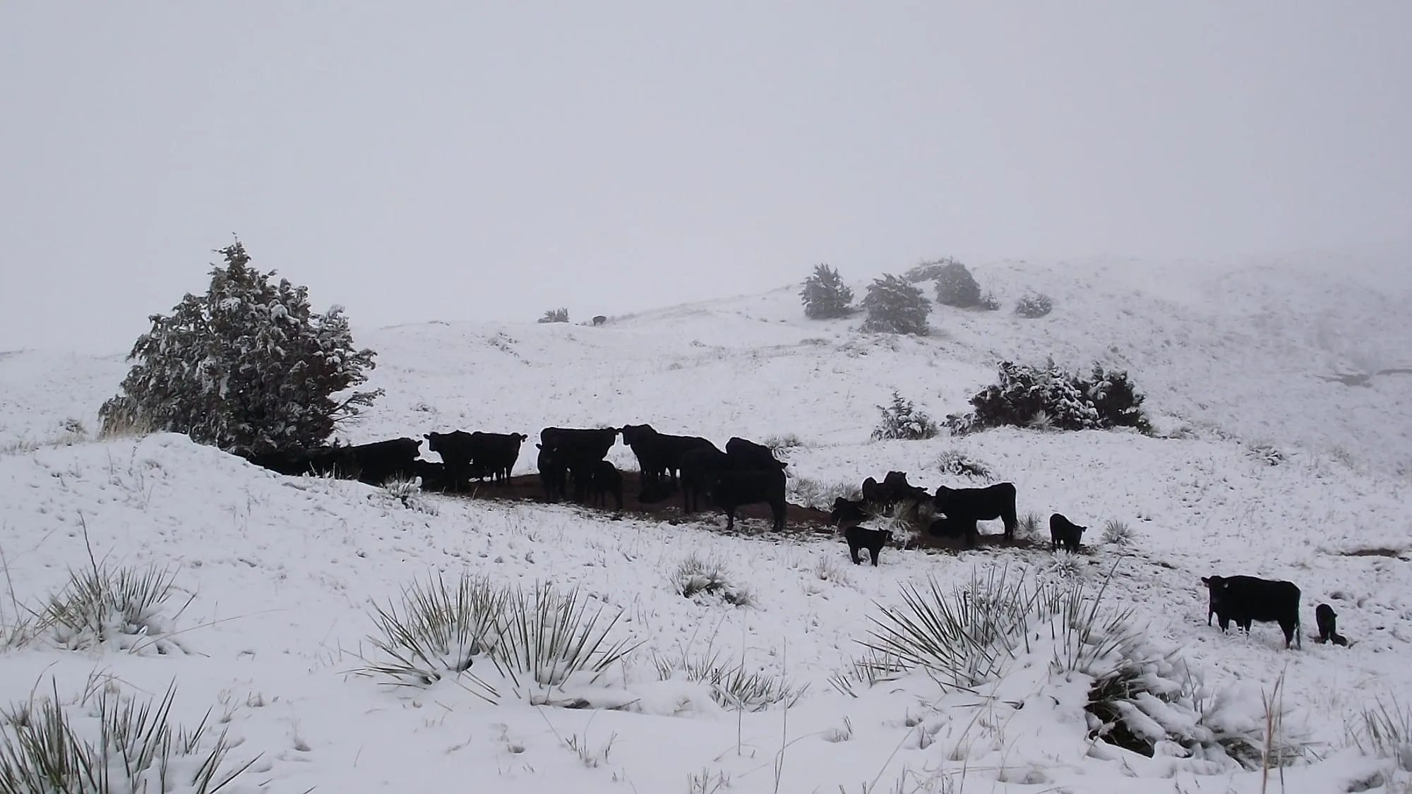 After the spring blizzard, western Nebraska